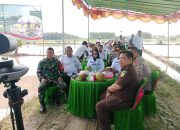 Desa Sungai Badak Laksanakan Tanam.Padi Serentak