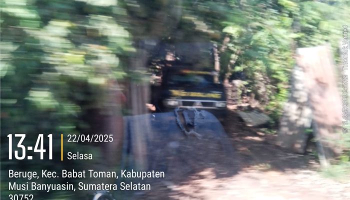 Hutan Semak Belukar Jadi Tempat Penampungan Ilegal Driling, Warga Khawatir