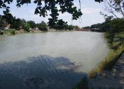 Kawasan Waduk Bojongsari Indramayu Kini Tak Ada Lagi Rimbunan Eceng Gondok
