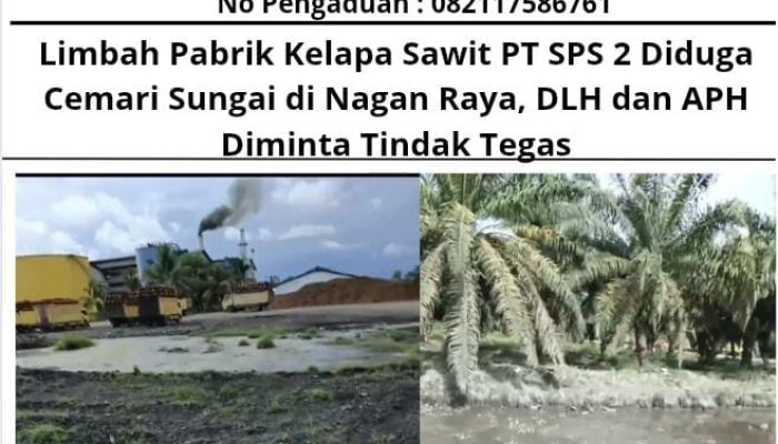 Limbah Pabrik Kelapa Sawit PT SPS 2 Diduga Cemari Sungai di Nagan Raya, DLH dan APH Diminta Tindak Tegas