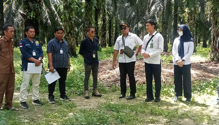 Kasus Persengketaan Tanah TKD, Hakim Ketua Cek ke Objek Lahan, Sengketan Muara Bungo