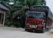 BNN RI Tangkap 3 Orang Membawa 125 Kilogram Narkoba