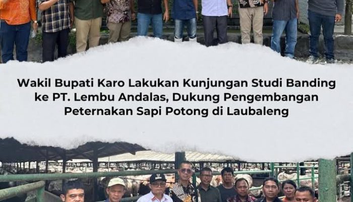 Wakil Bupati Karo Lakukan Kunjungan Studi Banding ke PT. Lembu Andalas, Dukung Pengembangan Peternakan Sapi Potong di Laubaleng