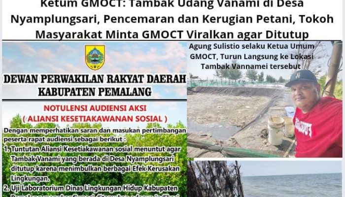 Ketum GMOCT: Tambak Udang Vanami di Desa Nyamplungsari, Pencemaran dan Kerugian Petani, Tokoh Masyarakat Minta GMOCT Viralkan agar Ditutup
