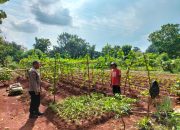 Ajak Warga Manfaatkan Pekarangan Rumah Untuk Tanam Sayuran, Wujud Polres Purwakarta Dukung Program Ketahanan Pangan