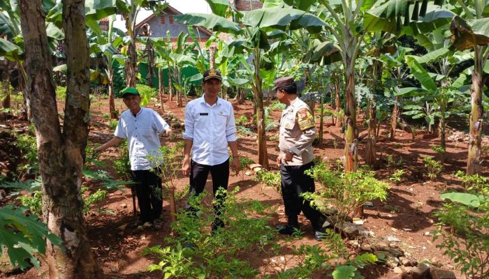 Sambang Petani, Polsek Purwakarta Kota Dukung Ketahanan Pangan