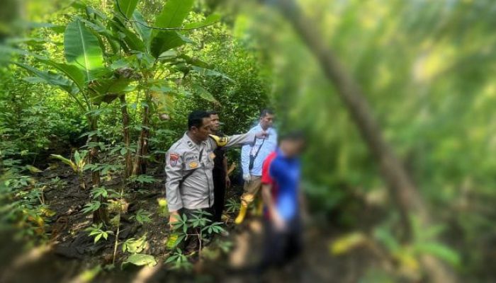 Tragis! Warga Poko Pringkuku Pacitan Ditemukan Gantung Diri di Kebun Jati, Ini yang Terjadi Sebelumnya