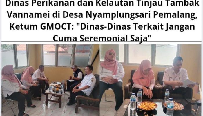 Dinas Perikanan&Kelautan Tinjau Tambak Vannamei di Desa Nyamplungsari Pemalang, Ketum GMOCT: “Dinas-Dinas Terkait Jgn Cuma Seremonial Saja”