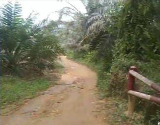 IMG-20250527-WA0132