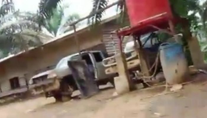Kebun Sawit Sekitar 400 Hektar Diduga Ilegal di Desa Tanjung Medang Hulu Kuantan