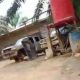 Kebun Sawit Sekitar 400 Hektar Diduga Ilegal di Desa Tanjung Medang Hulu Kuantan
