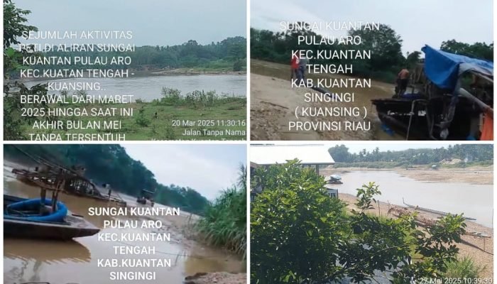 Penambang Ilegal Semangkin Bertambah Para di Aliran Sungai Kuantan “Pulau Aro” Sejak Maret Disoroti s/d Akhir Mei Tanpa Tersentuh Hukum