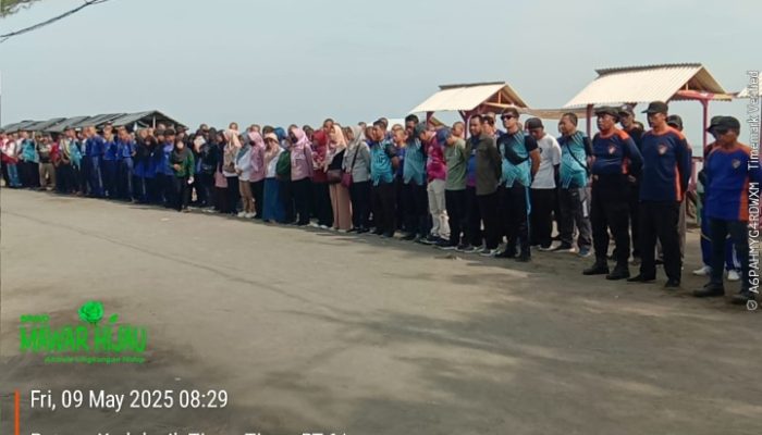Pulau Kodok Menghijau: Aktivis Mawar Hijau dan Pemkot Tegal Tanam Sejuta Pohon