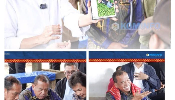 Bupati Karo Dampingi Presiden RI ke-7 Kunjungi Liang Melas Datas, Dukung Upaya Atasi Serangan Hama Jeruk