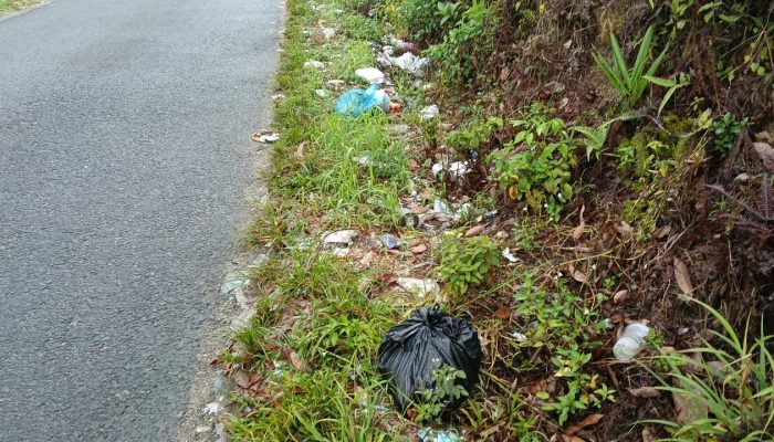 Oknum Warga Kelurahan Pasir Putih sengaja Buang Sampai di pinggir Jalan.