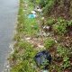 Oknum Warga Kelurahan Pasir Putih sengaja Buang Sampai di pinggir Jalan.