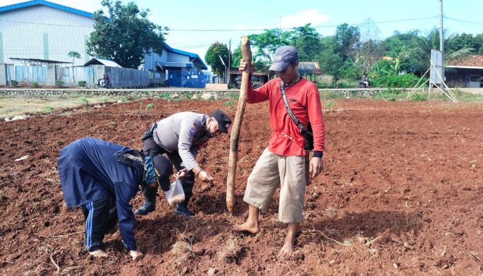 Dukung Asta Cita, Bhabinkamtibmas Polsek Campaka Lakukan Sambang Kamtibmas Ke Petani