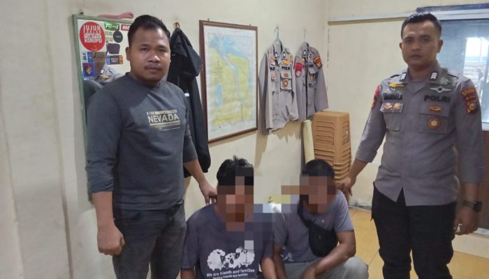 Kerja Keras Tim Gabungan Polres Meranti Membuahkan Hasil, Kayu Ilegal Logging 25 Ton Berhasil Diamankan