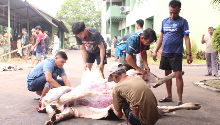 Kodim 0505/Jakarta Timur Berbagi Daging Qurban kepada Warga Sekitar Dalam Semangat Idul Adha.