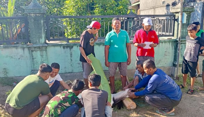 Gotong Royong dan Semangat Qurban untuk Menguatkan Kebersamaan Warga di Lingkungan Kampung Baru Desa Sirnoboyo Pacitan