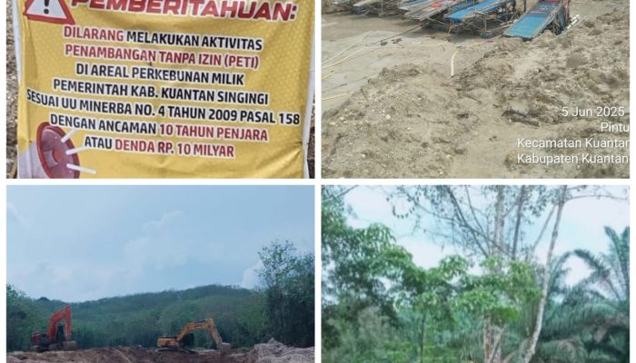 Aktivitas PETI Wilayah Kebun Karet Pemda Kuansing atau Sekitarnya Kebal Hukum Walau Sebulan Lebih Menjadi Sorotan