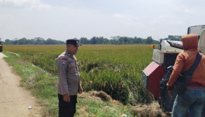 Dukung Ketahanan Pangan. Polsek Campaka Lakukan Sambang Kantibmas ke Petani