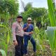 Asta Cita, Bhabinkamtibmas Polsek Sukatani Sambang Ke Petani Jagung
