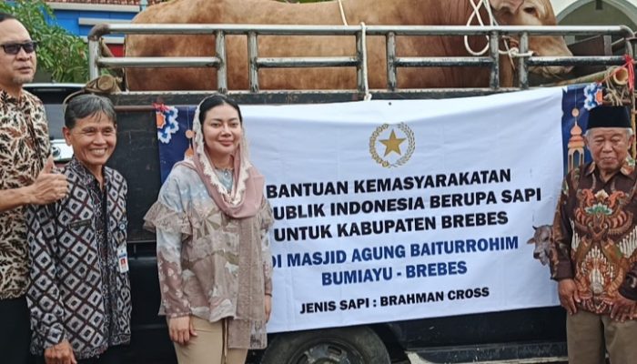 Presiden Serahkan Sapi Kurban ke Brebes