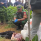 Warga Tri Darma Wira Jaya di Hebohkan, Seorang Guru SMA Tewas dengan Kondisi yang Mengenaskan