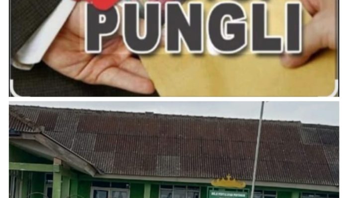 Tut Yendi Ketua Organisasi Aliansi Jurnalistik Online Meminta Kepada APH Usut Tuntas Adanya Pungli Yang Dilakukan Ketua BPP Rawa Jitu Selatan