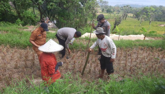 Dengar Keluhan Petani, Cara Polsek Plered Dukung Ketahanan Pangan