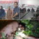 Konferensi pers Dugaan Kriminalisasi Penanganan Kasus Pengeroyokan Hingga Meninggal Oleh Polsek Rimbo Bujang
