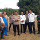 Penanaman Jagung Serentak Kuartal III 2025 di Dusun Suka Jaya: Langkah Nyata Wujudkan Ketahanan Pangan di Bungo