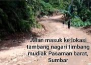 Tambang Emas Ilegal Aktifitas di Pasaman Barat Ratusan Ekskavator Beroperasi Bebas Diduga Dilindungi