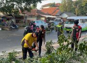 Respon Cepat Polres Purwakarta Saat Evakuasi Pohon Tumbang