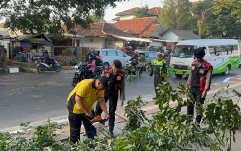 Respon Cepat Polres Purwakarta Saat Evakuasi Pohon Tumbang