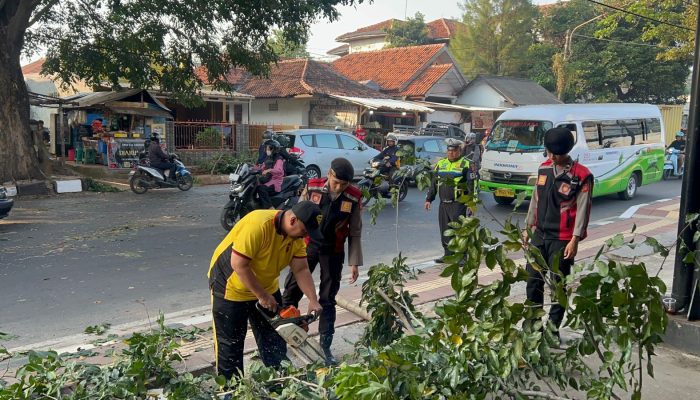 Respon Cepat Polres Purwakarta Saat Evakuasi Pohon Tumbang