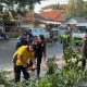 Respon Cepat Polres Purwakarta Saat Evakuasi Pohon Tumbang