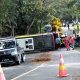 Bus Karyawan PLTU Pacitan Terguling di Jalur Pegunungan Sudimoro, 19 Penumpang Luka-Luka: Pertanyaan Muncul soal Kelayakan Armada