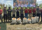 Polres Banyuasin dan PT.Agro Palindo Sakti Panen Jagung Perdana Dukung Ketahanan Pangan Nasional