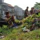 Kodim 0505/Jakarta Timur Gelar Karya Bhakti Skala Besar di Bantaran Kali Ciliwung.