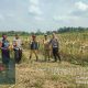 Polsek Betung Pantau Persiapan Panen Jagung untuk Dukung Ketahanan Pangan