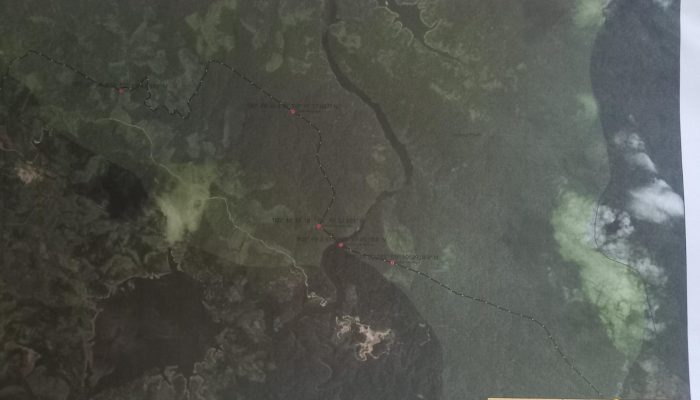 Diduga Hutan di Sumbar Riau Gundul dan Diperjual Belikan, Masuk Kawasan Lindung