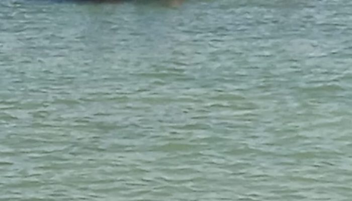 Jenazah La Rinso Yang Hilang Di Laut Waeperang Akhirnya Ditemukan