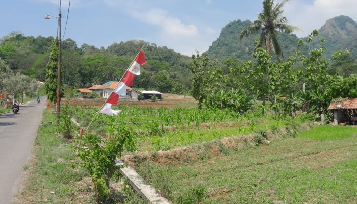 Masyarakat Desa Cupang Menjerit Kekurangan Air Bersih dan Irigasi Sawah