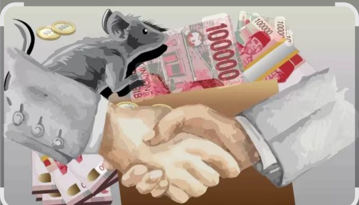 LSM BARAK NKRI Tuba Meminta APH Periksa Dana Pengadaan Swakelola DPMK Diduga Bermasalah