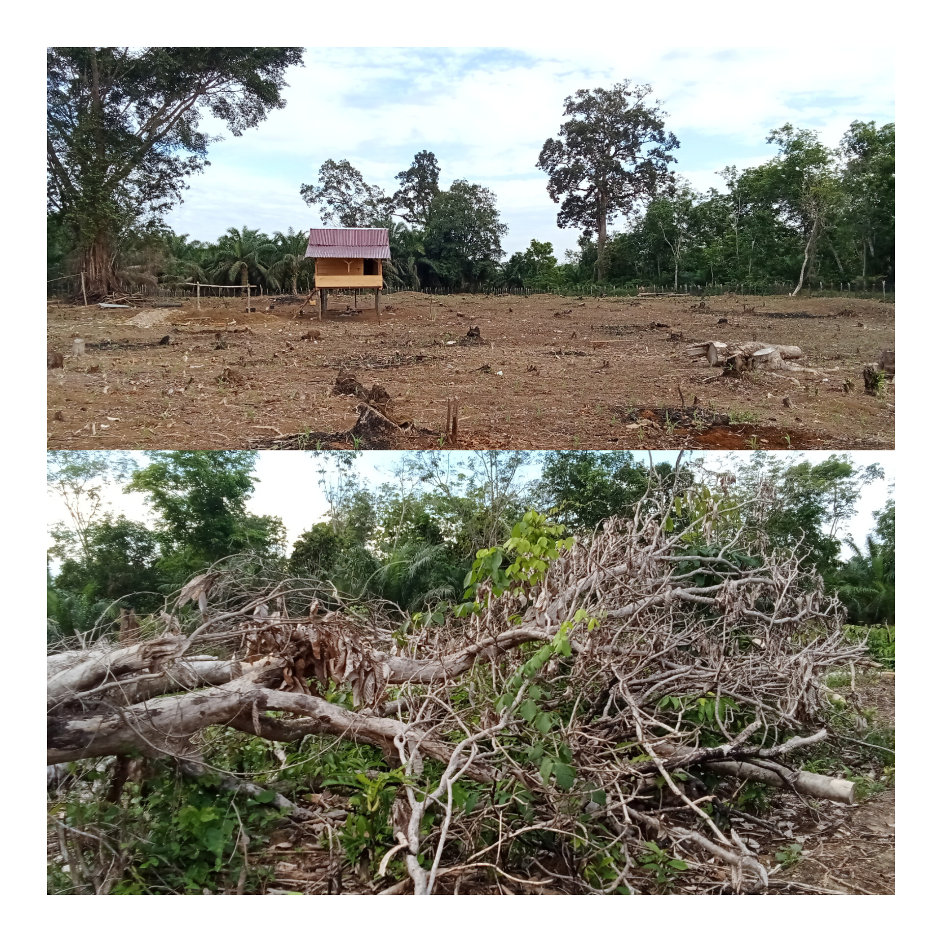 InShot 20250820 082052817