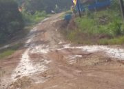 Warga Desa Suka Jaya, Kecamatan Rimbo Ulu. Kabupaten Tebo Provinsi; Jambi Keluhkan Kondisi Jalan Rusak Yang Menjadi Akses Utama Warga.