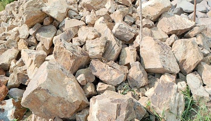 Screenshot 20250809 1156562