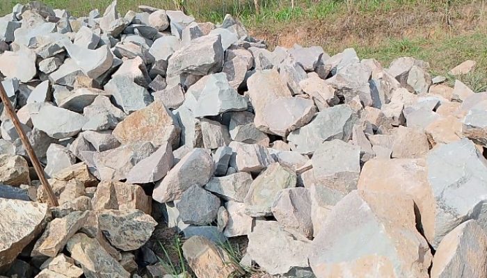 Screenshot 20250809 1157022